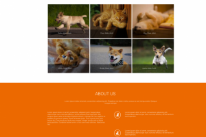 Дизайн из Pinterest