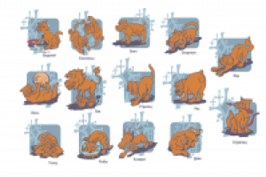 Кошачье-собачий гороскоп