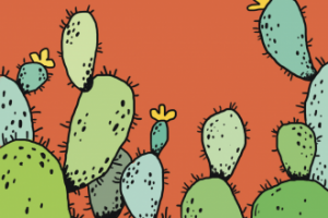 Кактусы