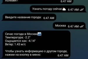 Бот для получения погоды.