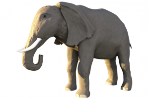 Модель слона