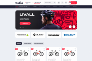 Интернет магазин спортивных товаров