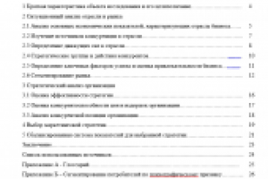 Курсовая_стратегический менеджмент_маркетинг