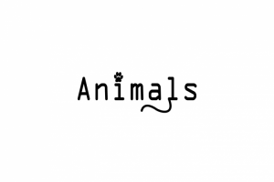 Animals
