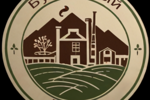 Логотип для компании "Бумажный Зенит"