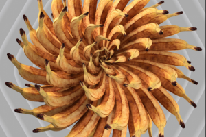 Моушн-дизайн