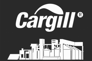 Работа 3504959