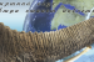 Шапка сайта