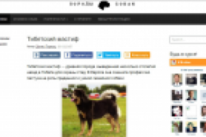 Статья мастиф