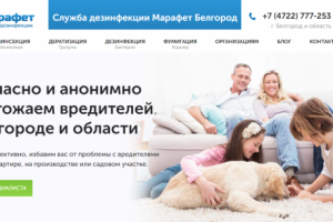 belgorod.dezmarafet.ru