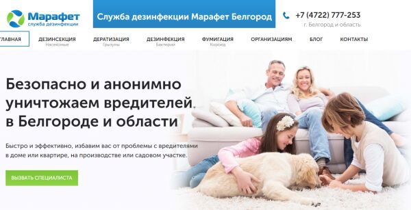 img3454013.png