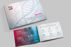 Дизайн маркетинг кит, дизайн презентации