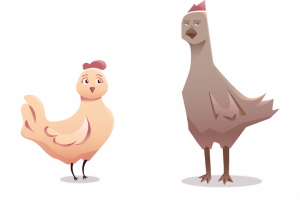 Дизайн персонажей курочек