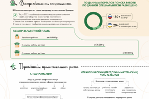 Инфографика профессии