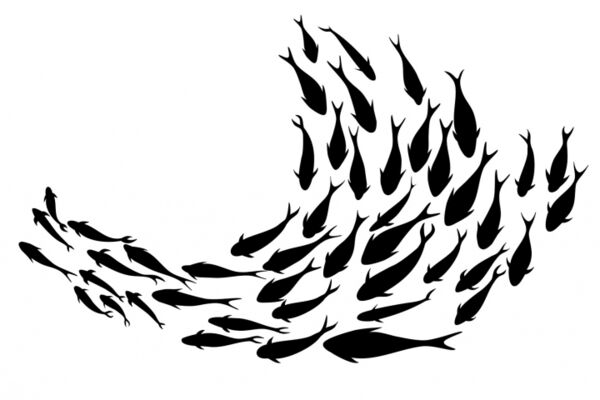 img4538996.png