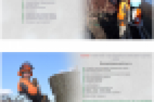 Обрезка плодовых деревьев сайт