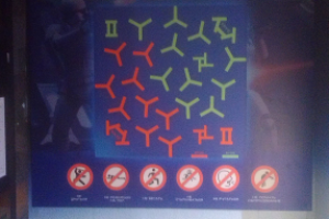 Карта лабиринта игровой арены