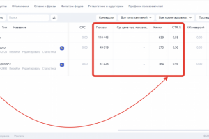 Рекламная кампания в Яндекс Директ. Клики за 0 рублей !