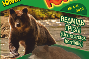 Модель медведя для журнала бумажного моделирования