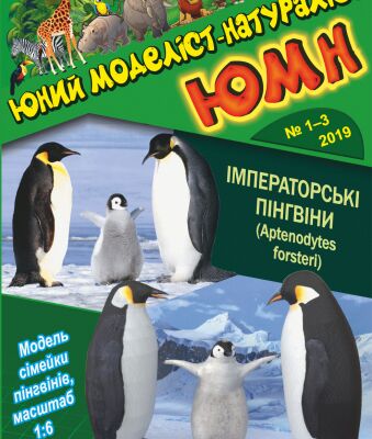 img3797318.png