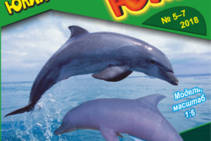 Модель дельфина для журнала бумажного моделирования