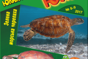 Модель черепахи для журнала бумажного моделирования