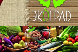 Рекламная листовка