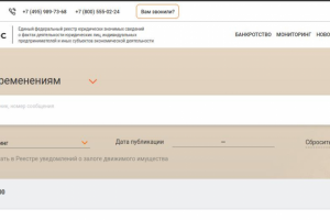 Парсер сайта федресурс (Лизинг)