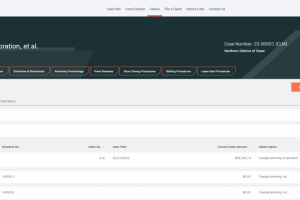 Парсинг данных с сайта cases.stretto.com (скачивание pdf)