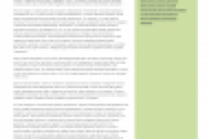 Сервис для Skoda Fabia,Octavia,Felicia