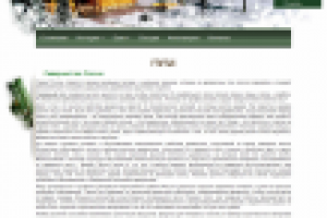 Северный лес России