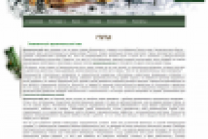 Наш архангельский лес