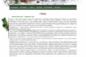 Наше богатство - северный лес!