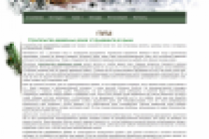 От фундамента до крыши