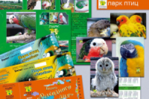 Работа 1229129