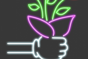 Оформление неоновой вывески