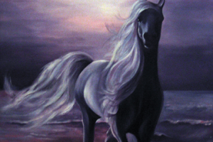 Арабская ночь