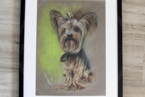 Джонни "Гроза района"