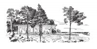 img2960320.png