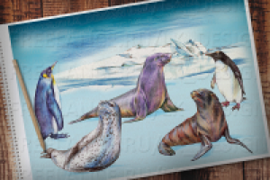 Антарктида