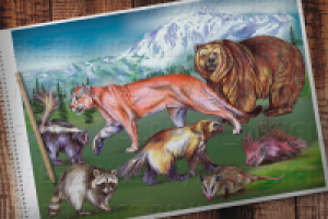 Северная америка