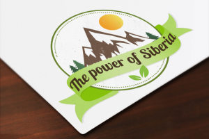 Работа 4039998