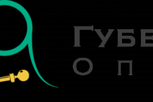 Логотип Губернская оптика
