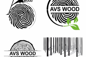 Разработка логотипа