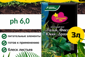 Инфографика грунта для растений для МП