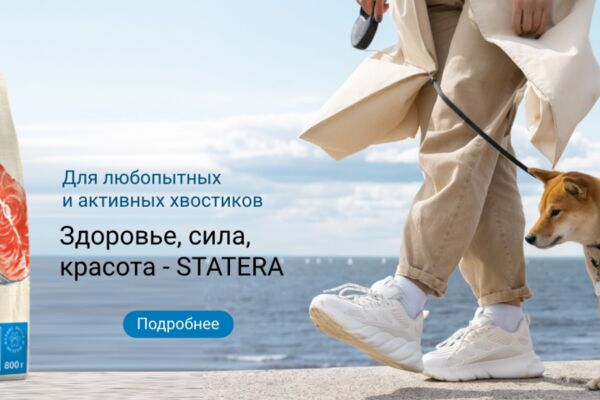img4611369.png
