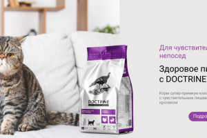 Баннер для интернет-магазина Bonnifacii.ru