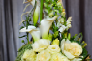 Съемка для элитного бутика цветов "Maison de la rose"