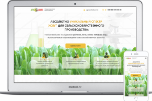 Дизайн Landing Page для Агроанализа