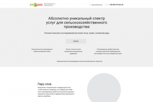 Прототип одностраничника для Агроанализа